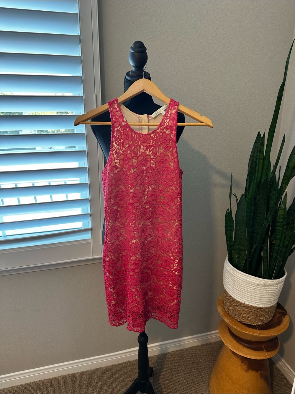 Lovers + Friends Hot Pink Crochet Overlay Dress